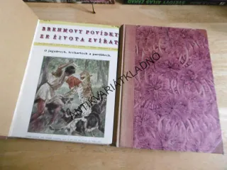 BREHMOVY POVÍDKY ZE ŽIVOTA ZVÍŘAT,  **an