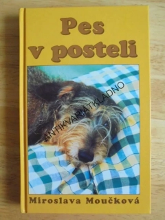 PES V POSTELI, JEZEVČÍK, M. MOUČKOVÁ, **an