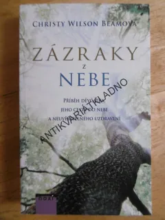 ZÁZRAKY Z NEBE, CHRISTY WILSON BEAMOVÁ, **an