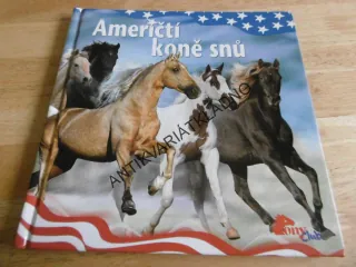 AMERIČTÍ KONĚ SNŮ, **an