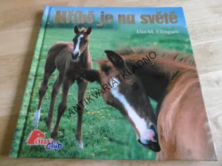 HŘÍBĚ JE NA SVĚTĚ, ELIN M. ELLINGSEN, **an