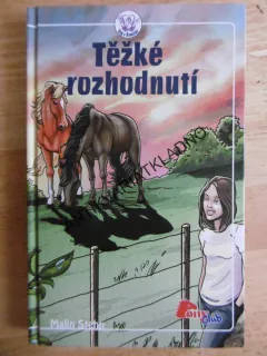 TĚŽKÉ ROZHODNUTÍ, MALIN STEHN, **an