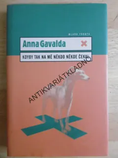KDYBY TAK NA MĚ NĚKDO NĚKDE ČEKAL, ANNA GAVALDA, **an
