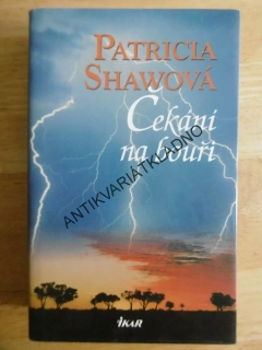 ČEKÁNÍ NA BOUŘI, PATRICIA SHAWOVÁ, **an