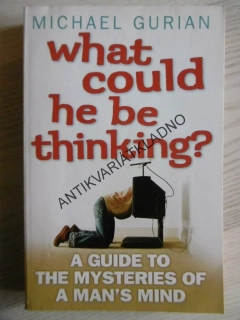 WHAT COULD HE BE THINKING?, MCIHAEL GURIAN, ANGLICKY, **an