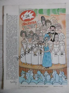DIKOBRAZ 24/1984