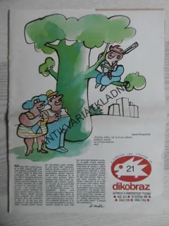 DIKOBRAZ 21/1986