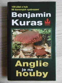 ANGLIE JE NA HOUBY, BENJAMIN KURAS, **an