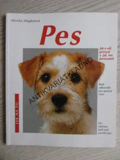 PES, MONIKA WEGLEROVÁ, **an