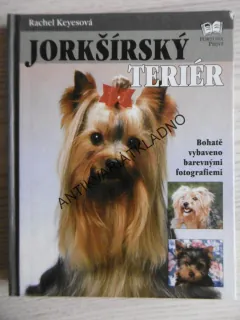 JORKŠÍRSKÝ TERIÉR, RACHEL KEYESOVÁ, **an