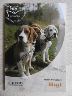 BÍGL, JANINE VERSCHURE, **an
