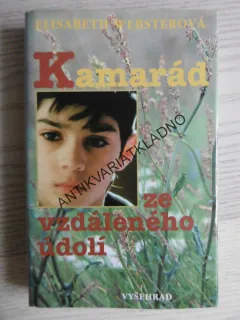 KAMARÁD ZE VZDÁLENÉHO ÚDOLÍ, ELISABETH WEBSTEROVÁ, **an
