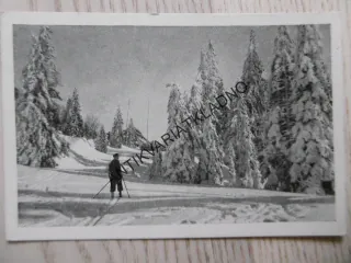 FELDBERG, NĚMECKO