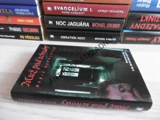 MUŽ POD SCHODY, MARIE HERMANSON, **an