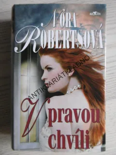V PRAVOU CHVÍLI, NORA ROBERTSOVÁ, **an
