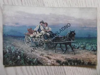 DO MLADÉ DOMÁCNOSTI, SVATBA, KŮŇ, KOČÁR