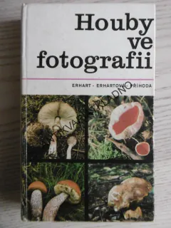 HOUBY VE FOTOGRAFII, ERHART, ERHARTOVÁ, PŘÍHODA, **an