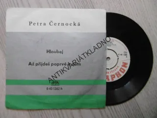 HLOUBEJ, AŽ PŘIJDEŠ POPRVÉ K NÁM, PETRA ČERNOCKÁ, MALÁ DESKA