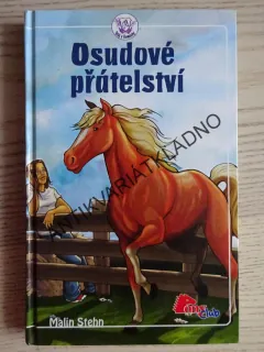 OSUDOVÉ PŘÁTELSTVÍ, MALIN STEHN, **an