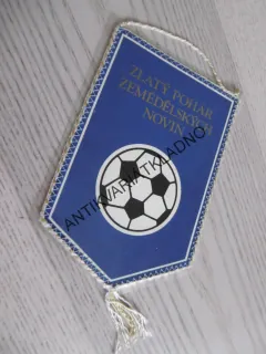 VLAJKA, VLAJEČKA  - JZD POKROK MALŠICE, SPORT, FOTBAL, OKR. TÁBOR