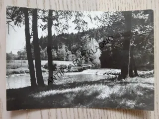 HORNÍ BRADLO, PRATIE U CHRUDIMKY, 1977, OKRES CHRUDIM