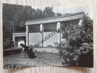 BOJIŠTĚ NA CHLUMU U HRADCE KRÁLOVÉ, VÁLEČNÉ MUZEUM, OKRES HRADEC KRÁLOVÉ, 1976