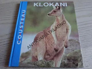 KLOKANI, **an