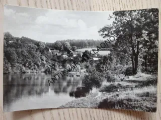 KOMÁROV, DRÁTOVNICKÝ RYBNÍK U KOMÁROVA, OKRES BEROUN, 1971