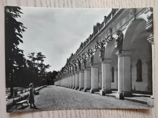KROMĚŘÍŽ, KOLONÁDA V KVĚTNÉ ZAHRADĚ, 1958