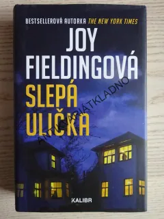 SLEPÁ ULIČKA, JOY FIELDINGOVÁ, **an