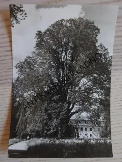 ZÁMEK ŠTIŘÍN, 1972, OKRES PRAHA-VÝCHOD