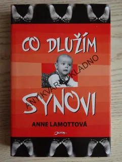 CO DLUŽÍM SYNOVI, ANNE LAMOTTOVÁ, **an