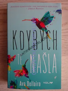 KDYBYCH TĚ NAŠLA, AVA DELLAIRA, **an