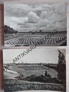 TEREZÍN, NÁRODNÍ HŘBITOV, 1959, OKRES LITOMĚŘICE, 2 KUSY