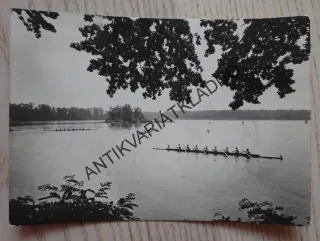 TŘEBOŇ, RYBNÍK SVĚT, OKRES JIDŘICHŮV HRADEC