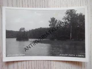 VIDLÁK, PARTIE Z OBORY, 1945, OKRES MLADÁ BOLESLAV