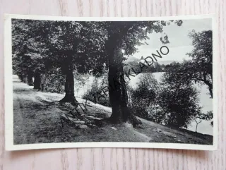 ŽINKOVY, ALEJE, 1938, OKRES PLZEŇ-JIH, ZÁMEK