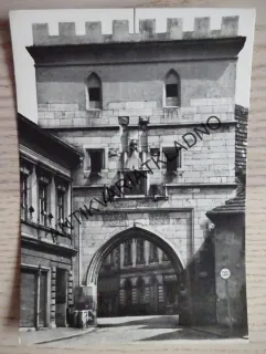 LOUNY, BRÁNA