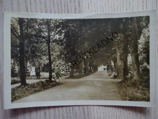 MŠENÉ LÁZNĚ, ALEJ, OKRES LITOMĚŘICE