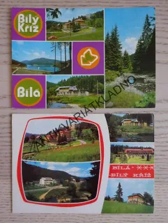 BÍLÁ, BÍLÝ KŘÍŽ, MORAVSKOSLEZSKÉ BESKYDY, OKRES FRÝDEK-MÍSTEK, 2 KUSY