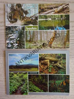 BOUBÍN, BOUBÍNSKÝ PRALES, OKRES KLATOVY, 2 KUSY
