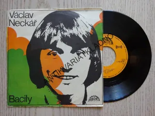 VÁCLAV NECKÁŘ, BACILY, POTULNÝ HRÁČ, SVĚTOVÁ VÝSTAVA, MALÁ DESKA
