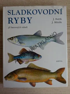 SLADKOVODNÍ RYBY, HOLČÍK, MIHÁLIK, **an