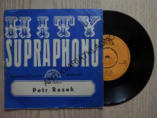 S PÍSNÍ LESŮ..., MODRÁ ZEM, PETR REZEK, MALÁ DESKA