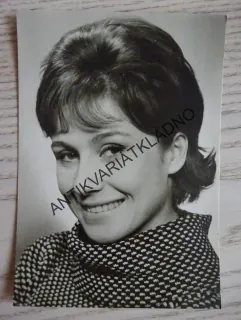 DANÍČKOVÁ SYLVA 