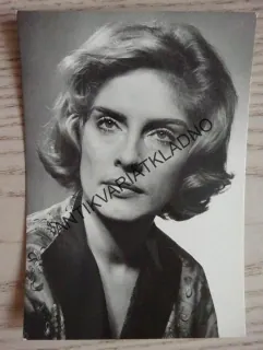 FIALOVÁ VLASTA