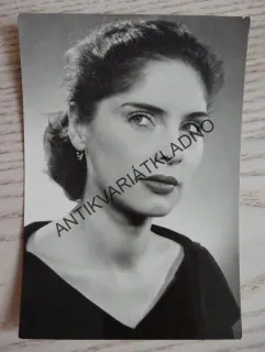 FIALOVÁ VLASTA
