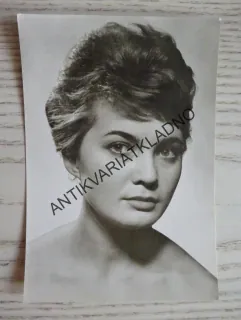 FIŠÁRKOVÁ ZUZANA