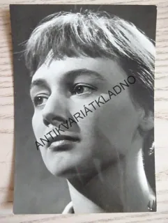 GRÜBEROVÁ ZDENA 