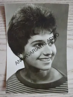 PANÝRKOVÁ JAROSLAVA 